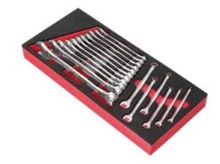 Module FACOM 17 Clés Mixtes OGV®