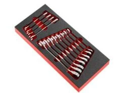 Module FACOM 12 Clés Mixtes à Cliquet