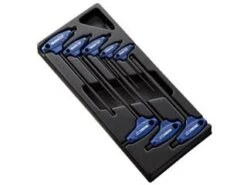 Module D'outils EXPERT 8 Clés Males 6 Pans En T - Plateau Plastique
